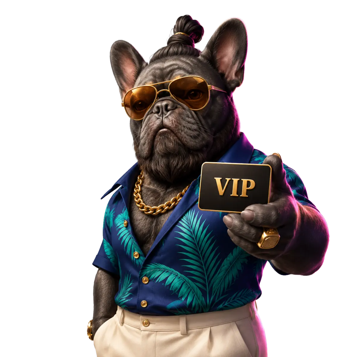 Programma VIP: 16 livelli da Bronze a Platinum