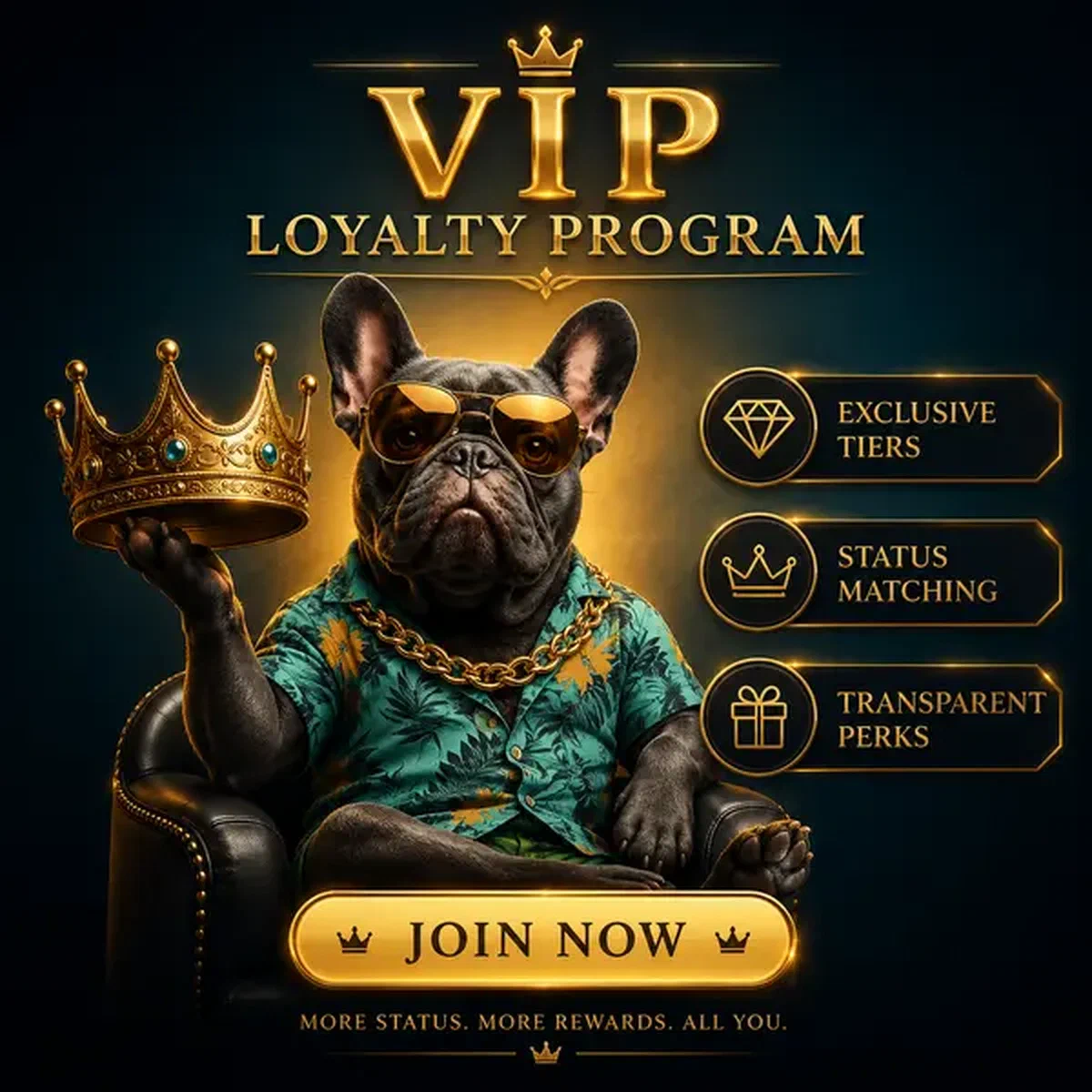 Bulldog francese che presenta corona dorata alla lounge programma fedeltà VIP BaxterBet
