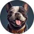 nick_napoli88